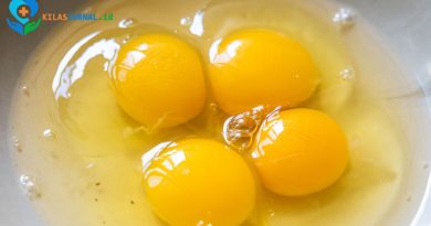 Fakta vs Mitos: Benarkah Mengonsumsi Telur Mentah Lebih Sehat dan Berkhasiat Tinggi?