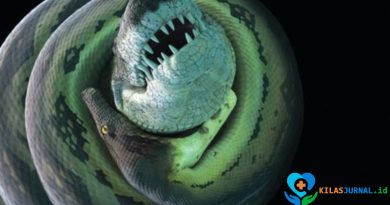 Fosil Ular Prasejarah Raksasa Ditemukan di India, Mungkinkah Lebih Besar dari Titanoboa?