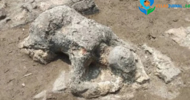 Mitos atau Fakta? Menguak Kisah Malin Kundang & Tangkuban Perahu