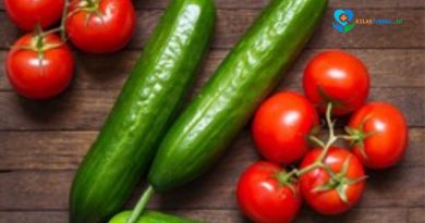 Nutrisionis Sarankan Sayur Tipe Ini untuk Menahan Kolesterol, Lebih Efektif dari yang Lain