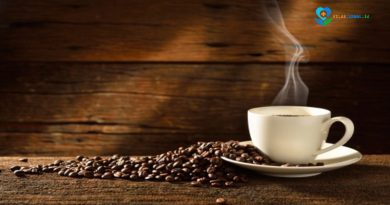 Mengapa Dunia Jatuh Cinta pada Kopi Indonesia? Ini Rahasia di Baliknya