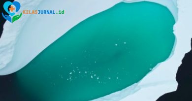 Antartika Terlihat Menghijau dari Luar Angkasa, Tanda Perubahan Iklim Kian Nyata