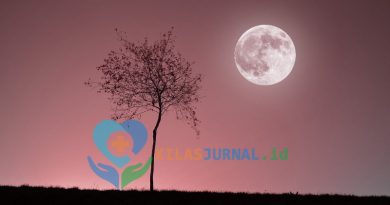 pink moon april 2026 bulan purnama terlihat di langit malam