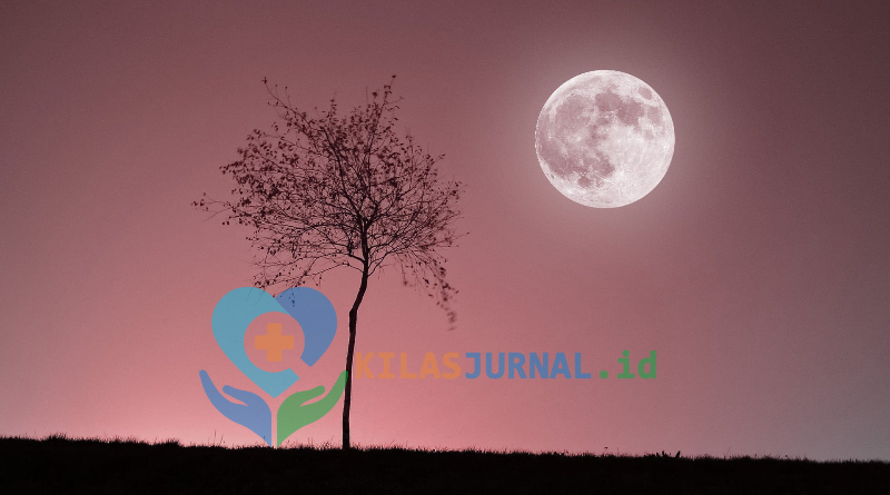 pink moon april 2026 bulan purnama terlihat di langit malam