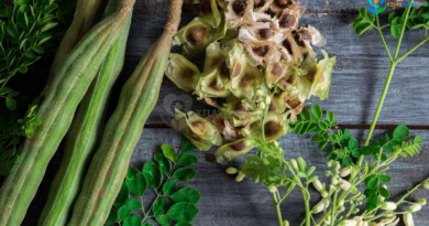 Skincare Alami untuk Kulit Sensitif: Mitos vs Fakta yang Perlu Diketahui