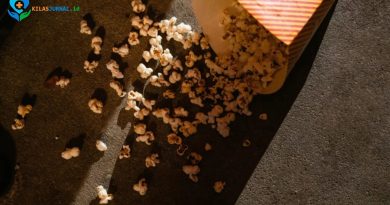 aturan 5 detik makanan jatuh