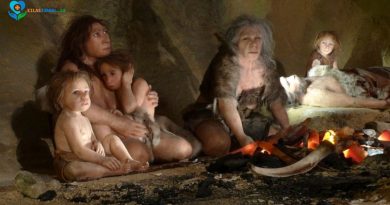 Bayi Neanderthal tumbuh cepat dibanding manusia modern berdasarkan penelitian terbaru