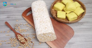 Perbandingan Gizi Tahu vs Tempe, Mana Lebih Unggul untuk Kesehatan?