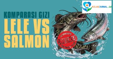 Infografis: Kandungan Gizi Lele vs Salmon, Apa Saja Perbedaannya?