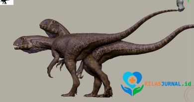 Ptychotherates bucculentus, “Murder Puppet” dari Zaman Trias yang Bikin Ilmuwan Terkejut