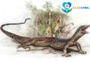 Fosil “Ular Palsu” Ungkap Misteri Evolusi Ular dan Biawak